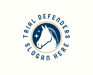 Equine Mare Horse  logo design