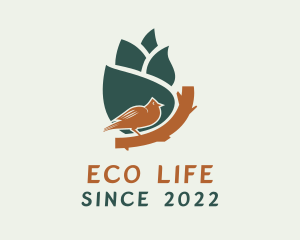 Bird Eco Park  logo design