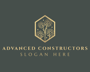 Premium Tree Orchard logo design