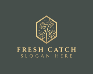 Premium Tree Orchard logo design