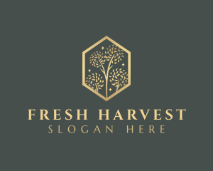 Premium Tree Orchard logo design