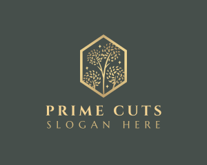 Premium Tree Orchard logo design