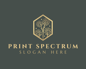 Premium Tree Orchard logo design