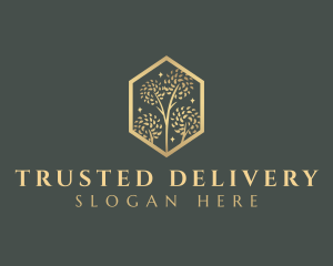 Premium Tree Orchard logo design