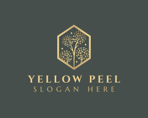 Premium Tree Orchard logo design