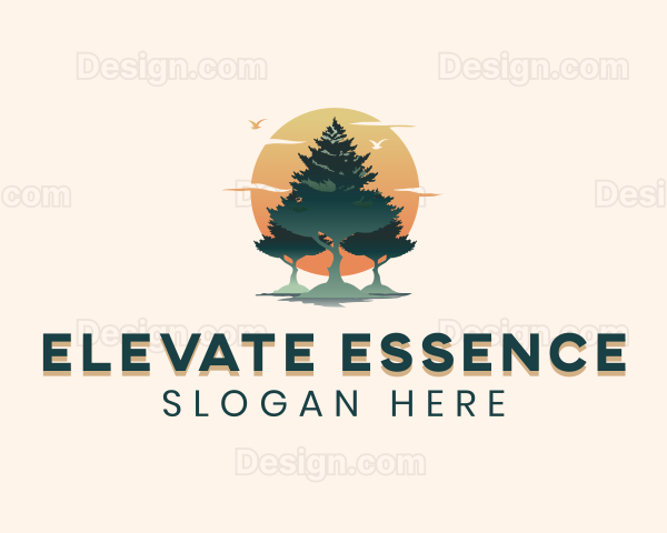 Pine Tree Sunset Logo