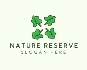 Nature Leaf Foliage logo design