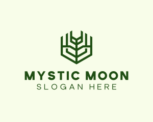 Natural Eco Agriculture logo design