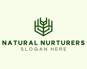 Natural Eco Agriculture logo design