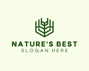 Natural Eco Agriculture logo design