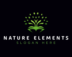 Natural Tree Book  logo design