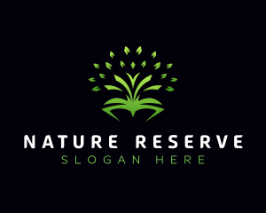 Natural Tree Book  logo design