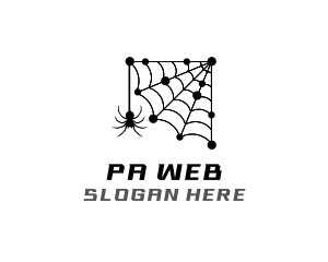 Network Spider Web logo design