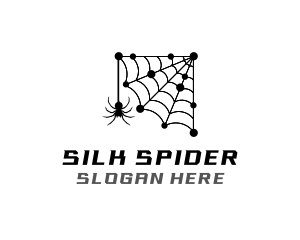 Network Spider Web logo design