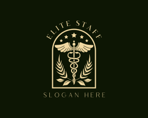 Medicine Caduceus Staff logo