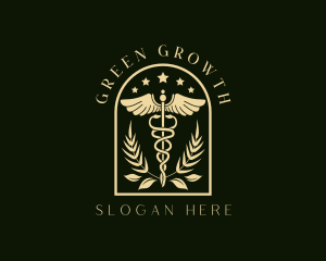 Medicine Caduceus Staff logo design