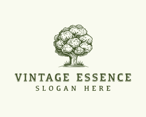 Vintage Tree Organic logo