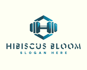 Dumbbell Hexagon Letter H logo design