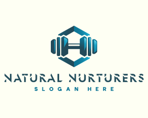 Dumbbell Hexagon Letter H logo design