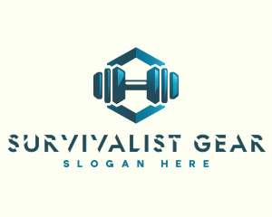 Dumbbell Hexagon Letter H logo design