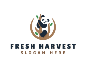 Cute Panda Branch logo design