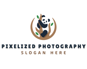 Cute Panda Branch logo design