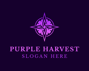 Purple Startup Compass logo design