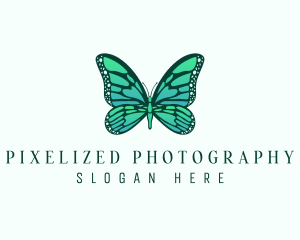 Butterfly Wellness Salon logo design