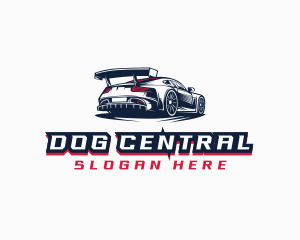 Race Car Detailing  logo design