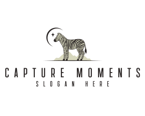 Safari Zoo Zebra Logo