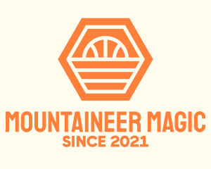 Orange Hexagon Basketball logo design