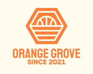 Orange Hexagon Basketball logo