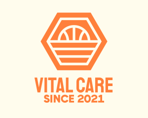 Orange Hexagon Basketball logo
