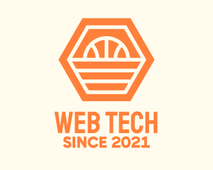 Orange Hexagon Basketball logo design