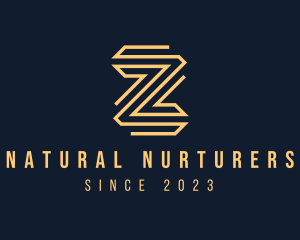 Premium Elegant Monoline Letter Z logo design