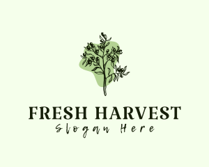 Olive Plant Produce logo