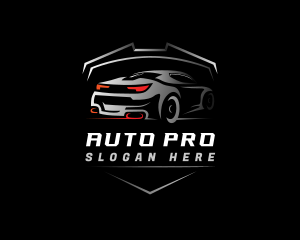 Automotive Car detailing logo