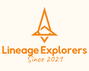 Orange Spacecraft Company logo design