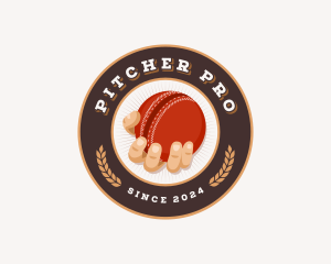 Sports Cricket Ball Hand logo design