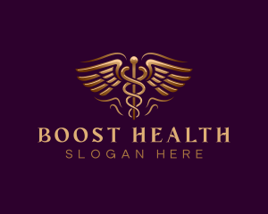 Caduceus Health Wings logo design