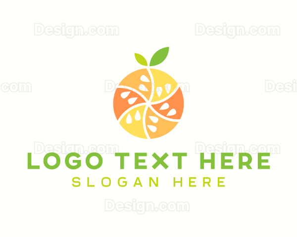 Citrus Fruit Harvest Logo