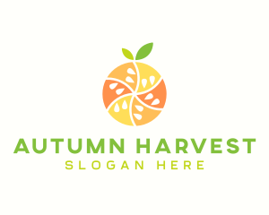 Citrus Fruit Harvest logo design