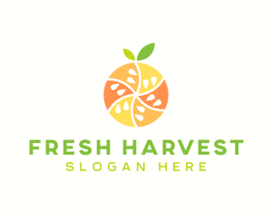 Citrus Fruit Harvest logo design