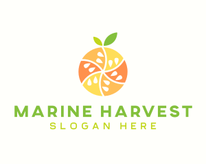 Citrus Fruit Harvest logo design