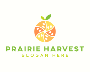 Citrus Fruit Harvest logo design