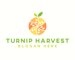 Citrus Fruit Harvest logo design