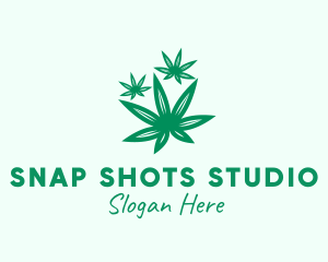 Medicinal Marijuana Leaves Logo