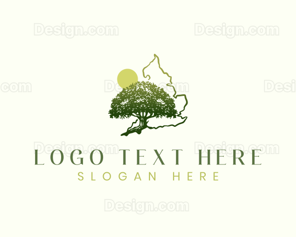 United Kingdom Oak Tree Logo