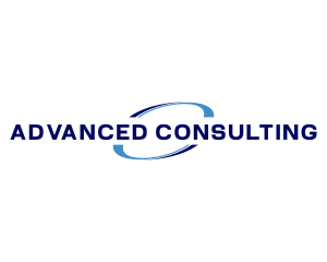 Professional Consulting Agency logo