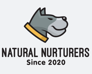 Veterinary Hound Dog logo design